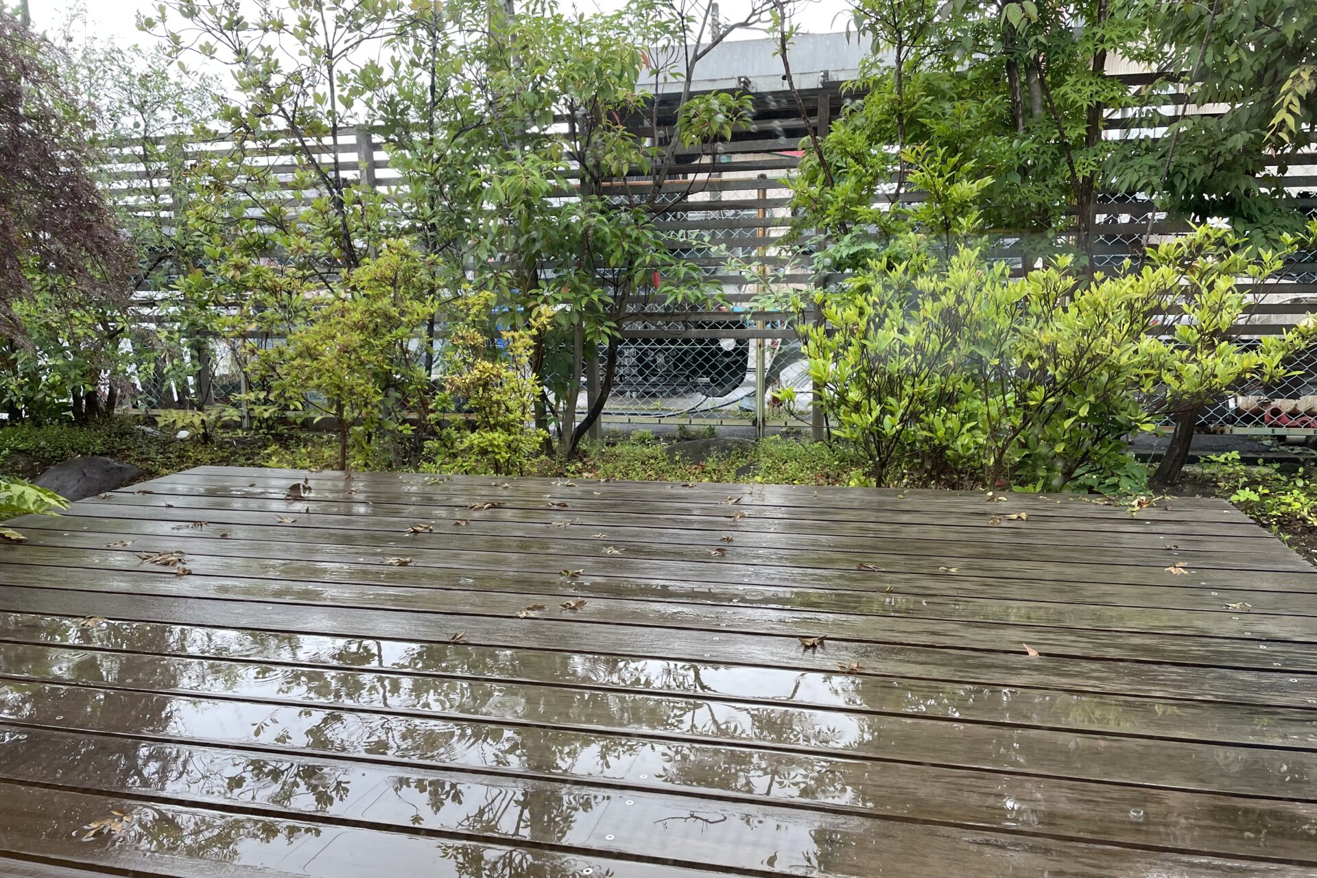梅雨に強い家のヒミツ☔